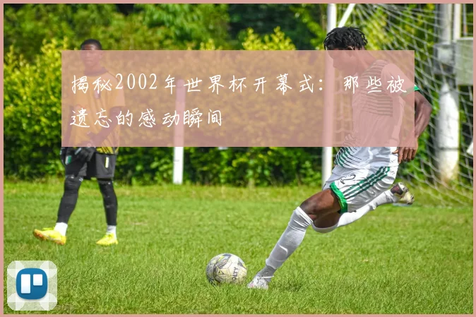 揭秘2002年世界杯开幕式：那些被遗忘的感动瞬间